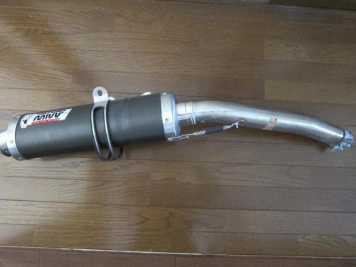 Mivv oval carbon auspuff - oval,